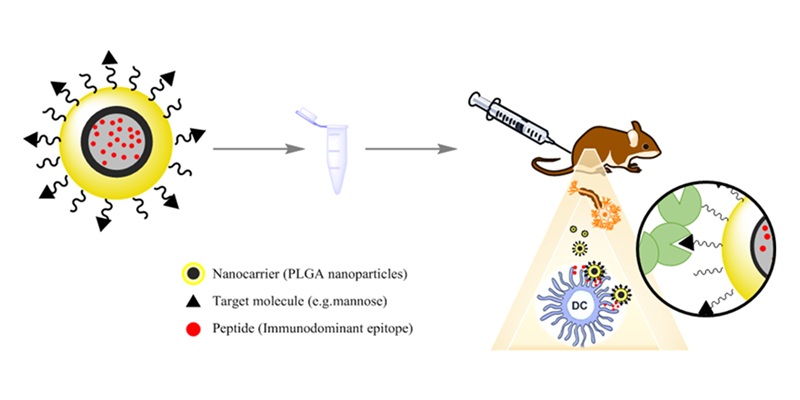 Scheme of the strategy and goal of the proposal
