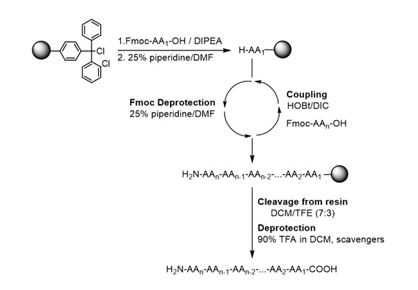 Scheme1 synthesis of peptides